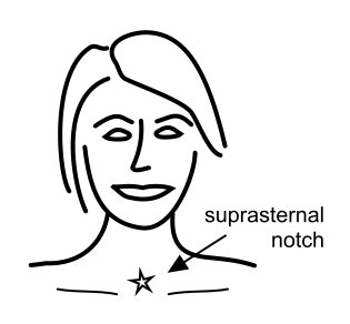 Intimate Gazing Suprasternal notch